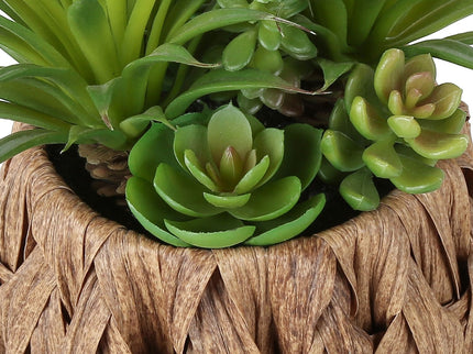 Artificial Succulent, Table Decor (Set of 2) - Green