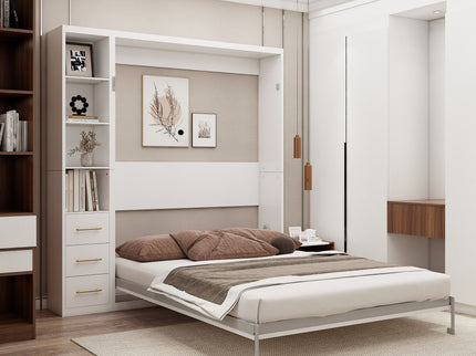 Multifunctional Vertical Murphy Wall Bed