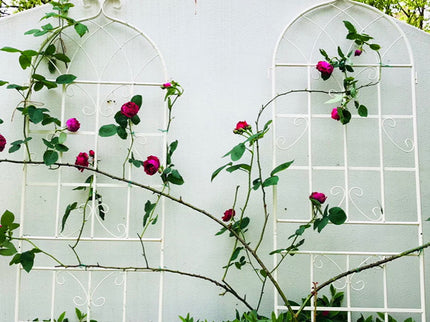 Metal Garden Rustproof Trellis For Climbing Plants Outdoor Flower Support