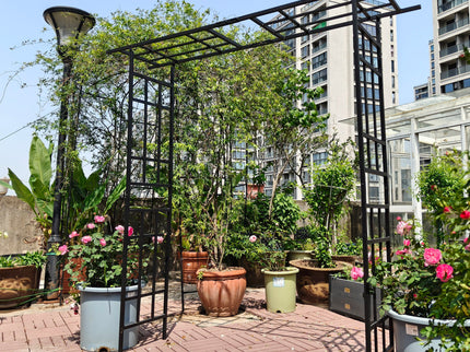 Garden Arch With Adjustable Width Climbing Plants Support - Black