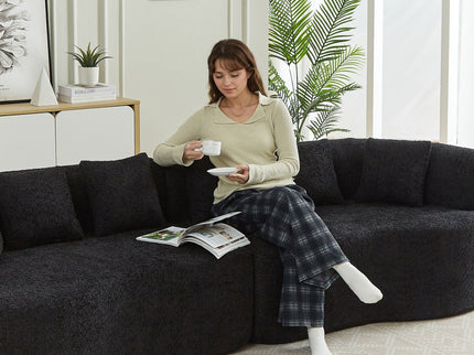 Curved Sectional Sofa With 6 Pillows