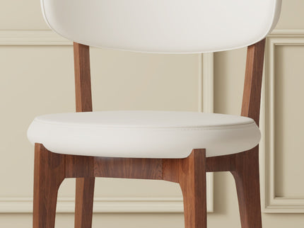Modern Dining Chairs, Comfortable For Dining Room (Set of 2) - Orange