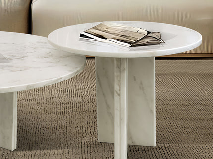 Elegant Coffee Duo Table Set