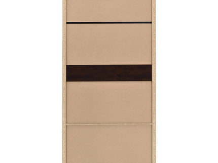 Nestor - 2 Drawer Tall Accent Cabinet With 2 Doors - Rustic