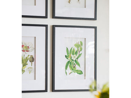 Botanical Flower Wall Art, Home Decor For Living Room Dining Room, Bedroom, Hallway (Set of 4) - White / Blue