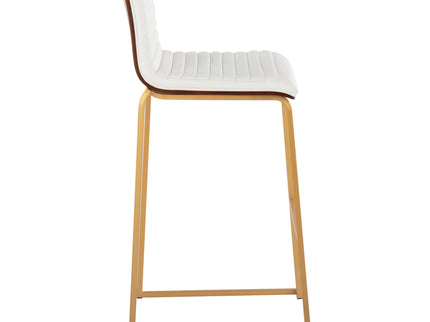 Mason Mara - Contemporary Versatile Desig Fixed Height Barstool (Set of 2)