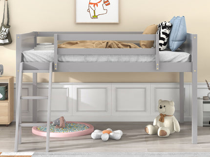 Low Loft Bed With Adjustable Ladder
