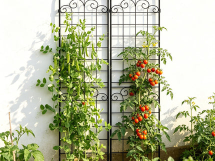 Metal Garden Trellis For Climbing Plants Outdoor Rustproof Plant Support Rose Trellis Netting Trellis