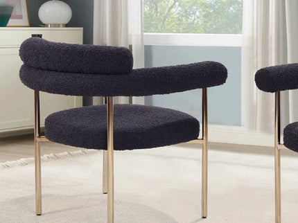 Upholstered Accent Dining Chairs With Armrests (Set of 2)