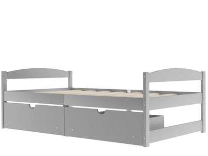Platform Bed With 2 Drawers