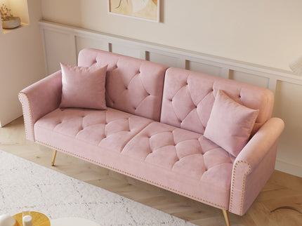 Luxurious Sofa Bed With Nail Head Trim And Matching Pillow