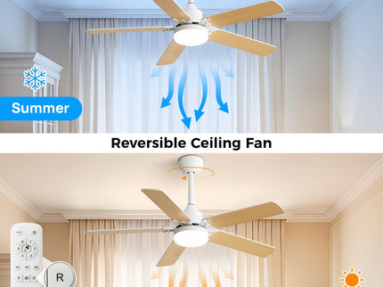 Modern Ceiling Fan With 3 Color Dimmable Light 5 Blades Remote Control Reversible Dc Motor - White