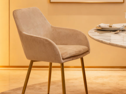 Dining Chair Set For Dining Rooms (Set of 2) - Beige