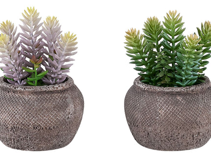 Artificial Succulent, Table Decor (Set of 2) - Green / Brown