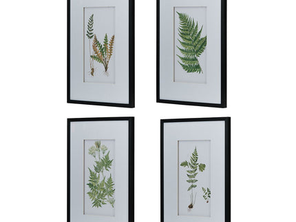 Botanical And Fern Wall Art, Wall Decor For Living Room Dining Room Entryway (Set of 4) - White / Black