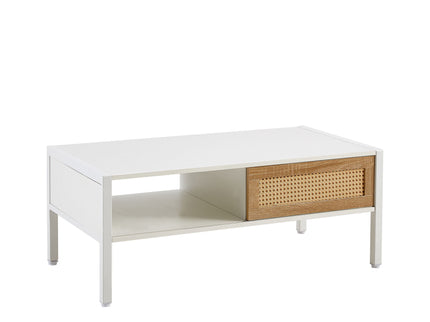 40.16" Rattan Coffee Table, Sliding Door For Storage, Metal Legs, Modern Table For Living Room