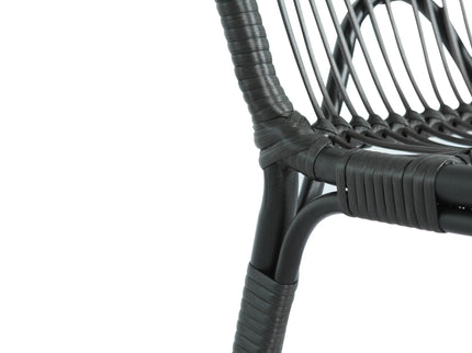 Outdoor Wicker Dining Chairs With Washable Cushion (Set of 2)