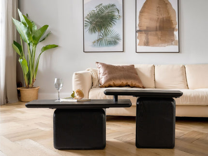 Square Coffee Table Set (Set of 2)