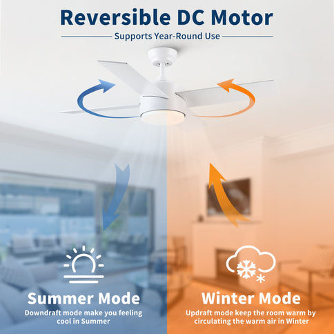 Ceiling Fan With Remote Control, Reversible DC Motor, 6 Speeds, 3 Dimmable LED, Quiet Timer For Indoor - White