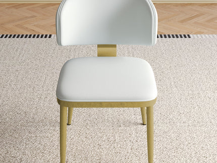 Modern Dining Chairs For Kitchen (Set of 2)