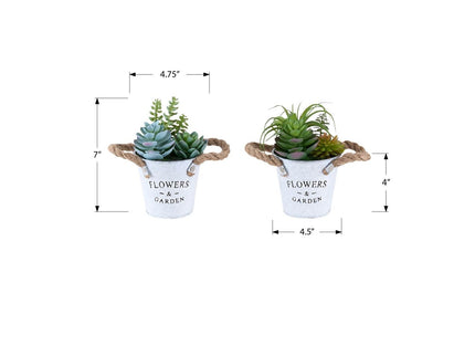 Artificial Succulent, Table Decor (Set of 2) - Green / White