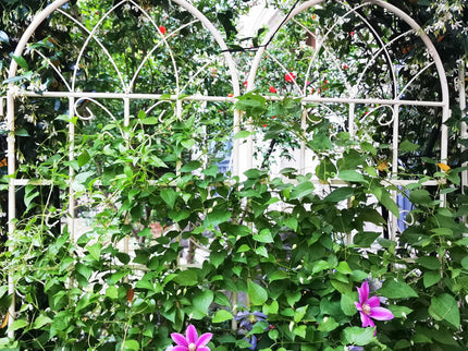 Metal Garden Rustproof Trellis For Climbing Plants Outdoor Flower Support