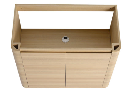 Freestanding Bathroom Vanity With Sink & 2 Soft Close Doors