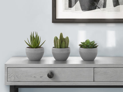 Artificial Succulent Plants (Set of 3)