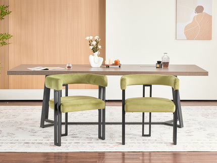 Cushioned Accent Armchairs (Set of 2)