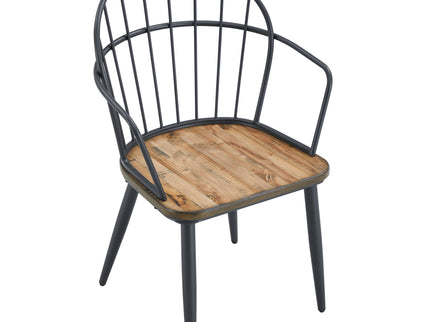 Industrial Inspired Indoor Dining Chair With Metal Legs And Birch (Set of 2) - Black / Natural