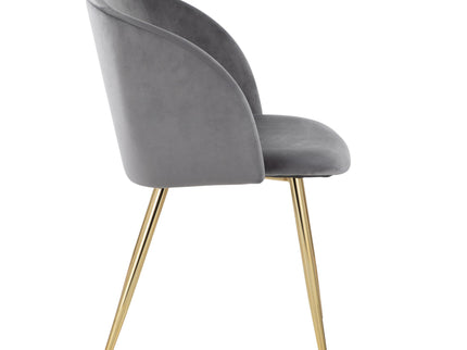 Fran - Contemporary Elegant Design Chair (Set of 2)