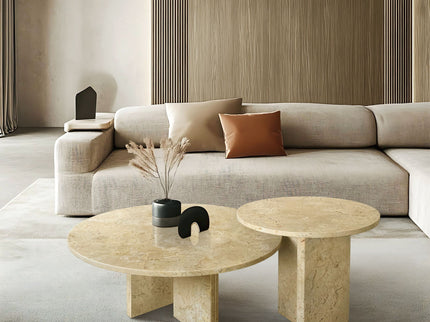 Elegant Coffee Duo Table Set
