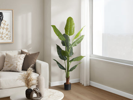 59" Tall, Artificial Plant, Strelitzia Tree, Indoor, Faux, Fake, Floor, Greenery, Potted, Real Touch, Decorative - Green / Black