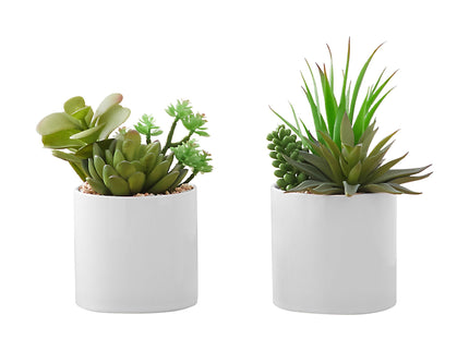 Artificial Succulent Plants (Set of 2)