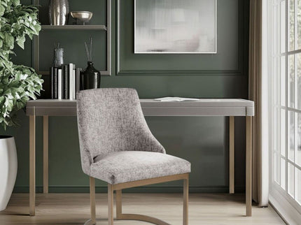 Contemporary Modern Accent Dining Chairs (Set of 2)
