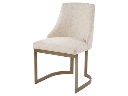 Contemporary Modern Accent Dining Chairs (Set of 2)