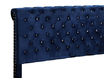 Elegant Transitional Upholstered Bed