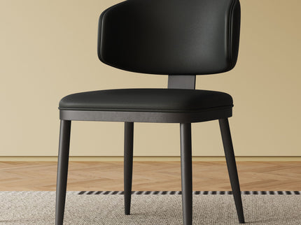 Modern Dining Chairs For Kitchen (Set of 2)
