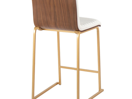 Mason Mara - Contemporary Design Fixed Height Counter Stool (Set of 2)