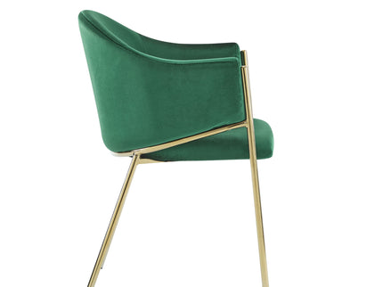 Modern Upholstered Dining Chair With Frame And