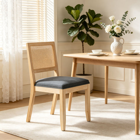Kitchen & Dining Room Chairs (Set of 2)