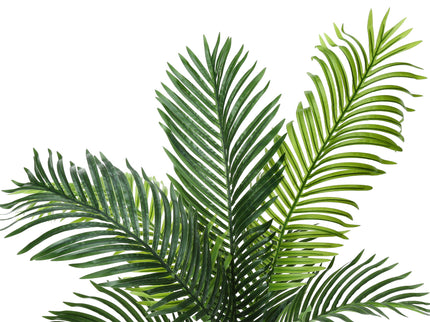47" Tall, Artificial Plant, Palm Tree, Indoor, Faux, Fake, Floor, Greenery, Potted, Real Touch, Decorative - Green / Black