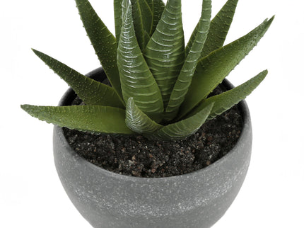 Artificial Succulent Plants (Set of 3)