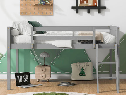 Low Loft Bed With Adjustable Ladder