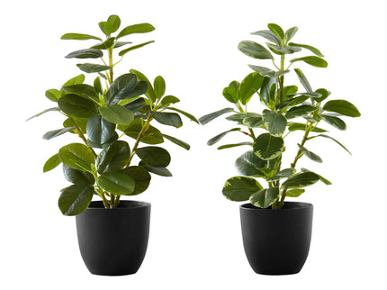14" Tall, Artificial Plant, Ficus, Indoor, Faux, Fake, Table, Greenery, Potted, Decorative (Set of 2) - Green / Black