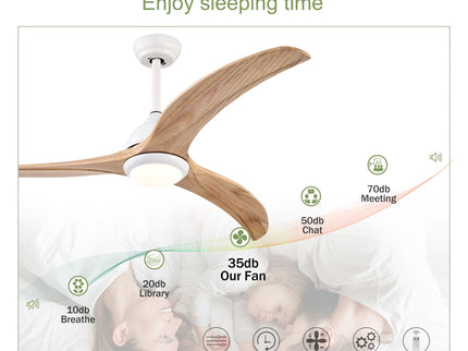 Indoor Outdoor Ceiling Fan With Light With Remote Control, Noiseless Reversible Motor, 6 Speed, 3 Color