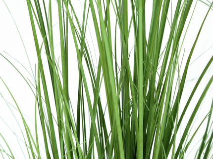 47" Tall, Artificial Plant, Grass Tree, Indoor, Faux, Fake, Floor, Greenery, Potted, Real Touch, Decorative - Green / Black