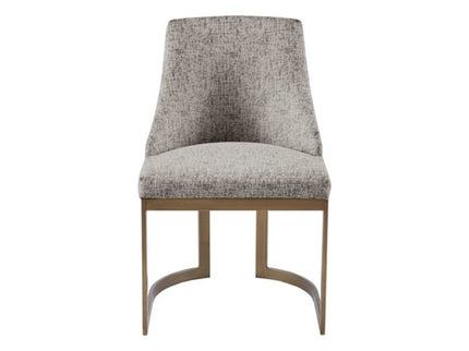 Contemporary Modern Accent Dining Chairs (Set of 2)