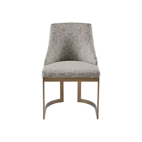 Contemporary Modern Accent Dining Chairs (Set of 2)