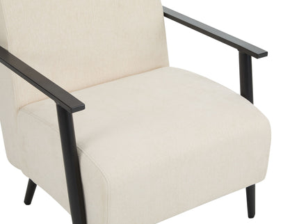 Modern Lounge Chair With Upholstery